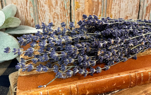 NET-ELA Dried English Lavender Bunch