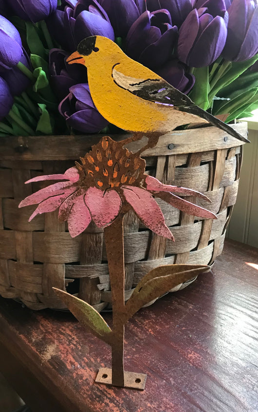 EG-FCF Rusty Finch on Coneflower