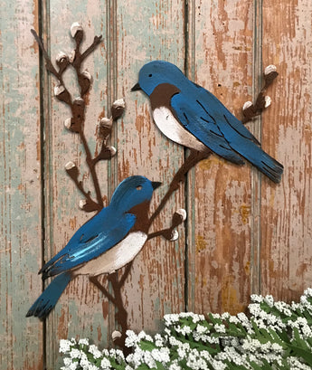 EG-BP Rusty Bluebirds on Willow Branch
