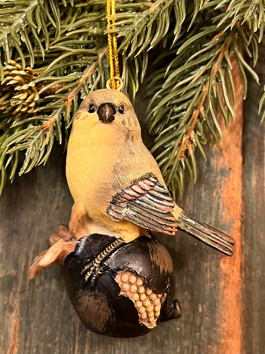 DK-01D Resin Bird on Persimmon Ornament