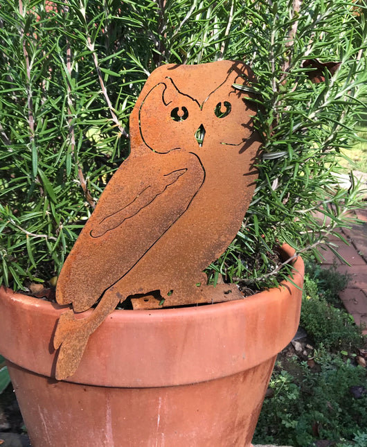 EG-OWL Rusty Owl