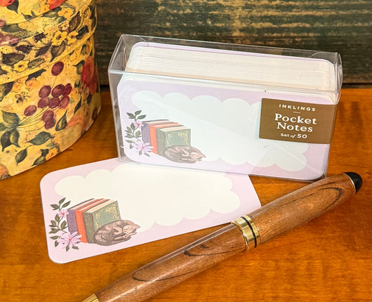 PN17 Pocket Notes - Library Kitten