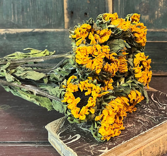 NET-MSUN Dried Mini Sunflowers Bunch