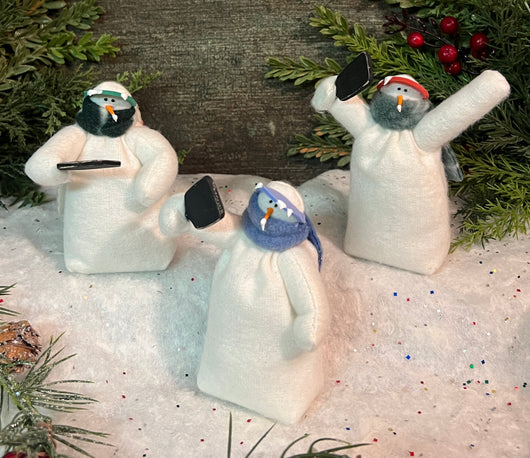FA-1015 Med Fabric Snowfolk with Pickleball Paddle