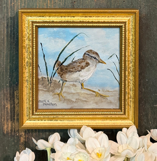 MKM-281 'Baby Sandpiper' ORIGINAL Painting by MK Moulton