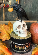 BLD-04 Crow and Skull on Box