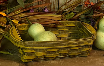 BG-B678 Mustard Tray Basket