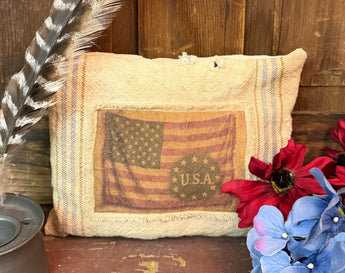 DD-295B Vintage Feedsack Pillow - American Flag