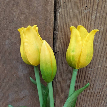 AT-3Y Real Touch Tulip Bunch - Yellow