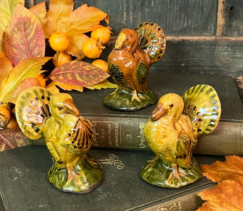 GMS-T7 Shooner Redware Turkeys
