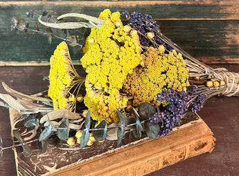 NET-SDB-C Small Dried Flower Bunch - Yarrow