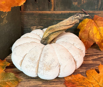 PPP-48B Painted Fabric Pumpkin - White