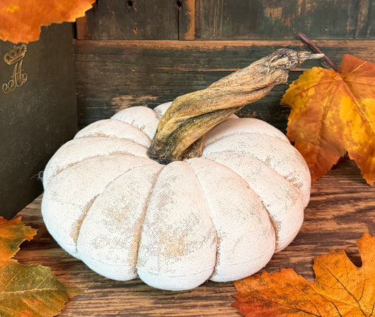 PPP-48B Painted Fabric Pumpkin - White