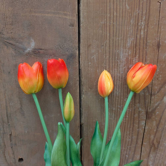 AT-5C Real Touch Tulip Bunch - Coral