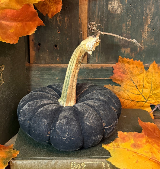 PPP-47C Painted Fabric Pumpkin - Black