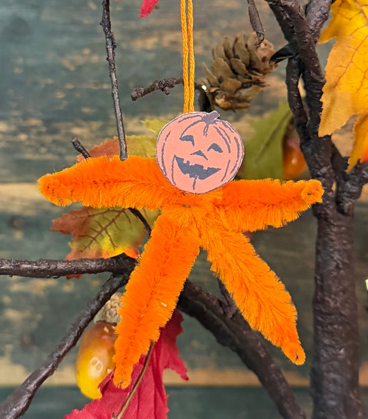 ERX-2681 Jack-O Pipe Cleaner Ornament
