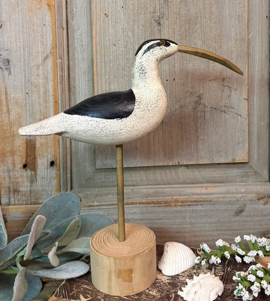 WF-11 Small Black & White Shore Bird