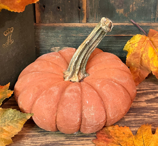 PPP-48A Painted Fabric Pumpkin - Light Orange