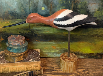 WF-06 Large Rust Stripped Shore Bird