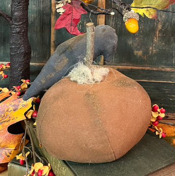 DAT-55 Fabric Crow on Pumpkin