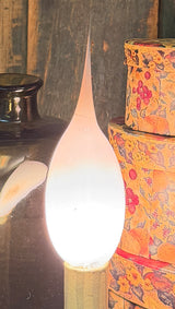 CT-15 15 Watt Silicone Bulb