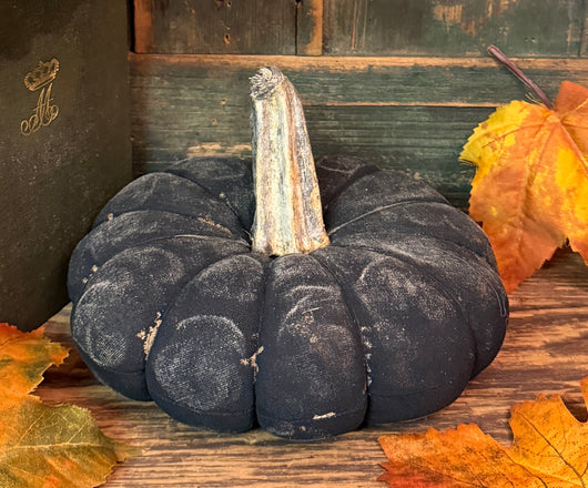 PPP-48C Painted Fabric Pumpkin - Black