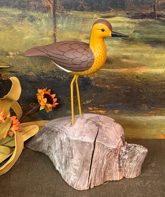 BCF-02 Hand-Carved & Painted Shorebird on Driftwood