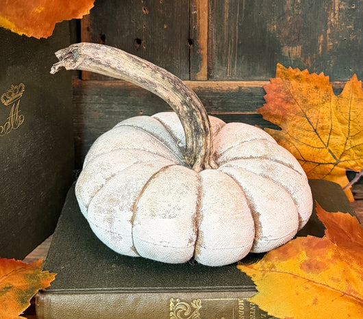 PPP-47D Painted Fabric Pumpkin - White