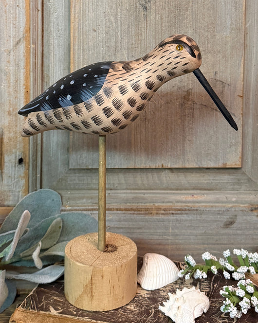 WF-14 Small Black & Brown Head Shore Bird