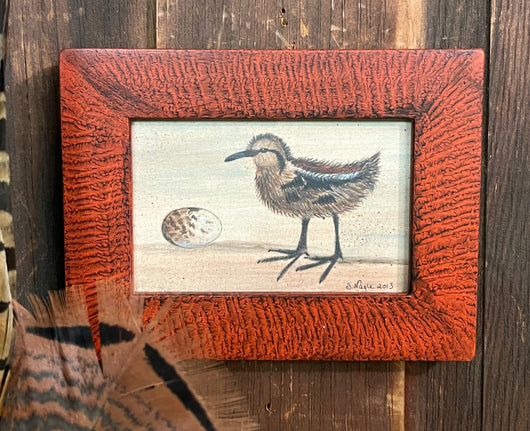 SN-62 Sandpiper Framed Print