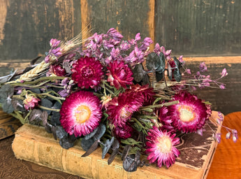 NET-SDB-Q Small Dried Flower Bunch - Wine  Strawflowers