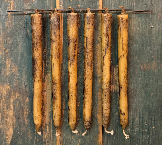 X100 Six Candle Rod - Mustard