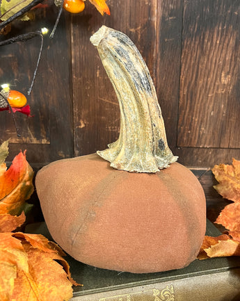 DAT-09 Fabric Orange Pumpkin with Real Stem