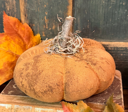 DAT-09 Fabric Orange Pumpkin with Stick Stem