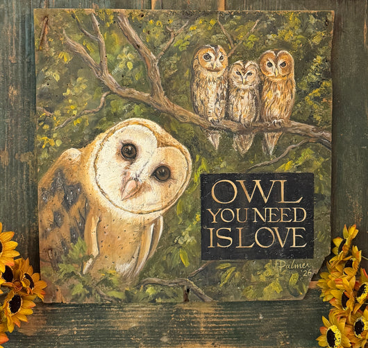 TPA-14 Hand-painted ‘Owl you need is Love’ on Antique Plank