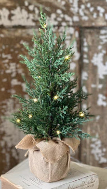 LH-67 18” Starlit Cedar Tree (LED)