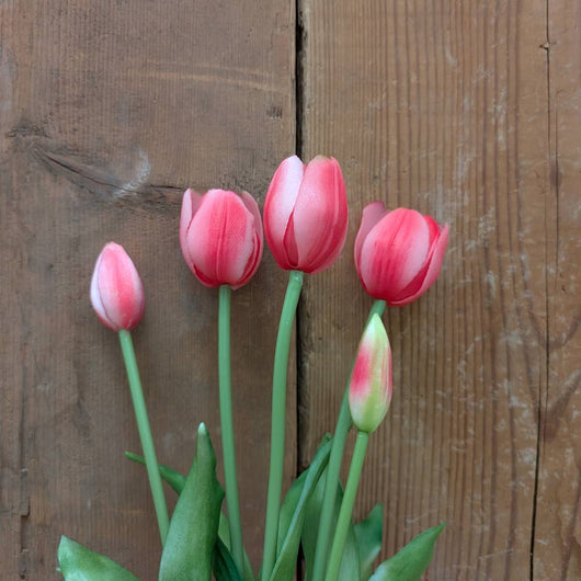 AT-5P Real Touch Tulip Bunch - Pink