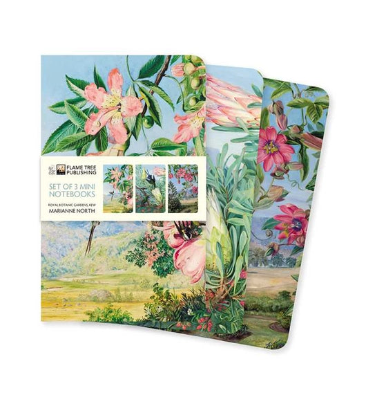 SS-FTNBP07 Set of 3 Mini Floral Notebooks