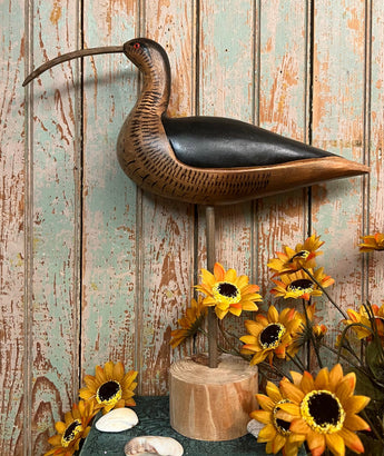 WF-05 Large Black Shore Bird