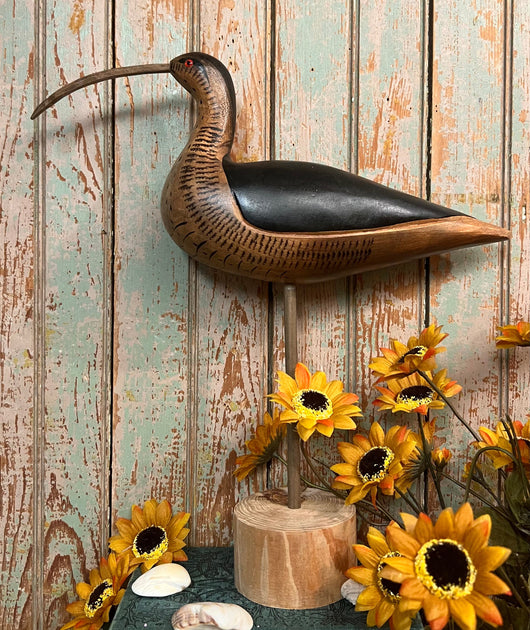 WF-05 Large Black Shore Bird