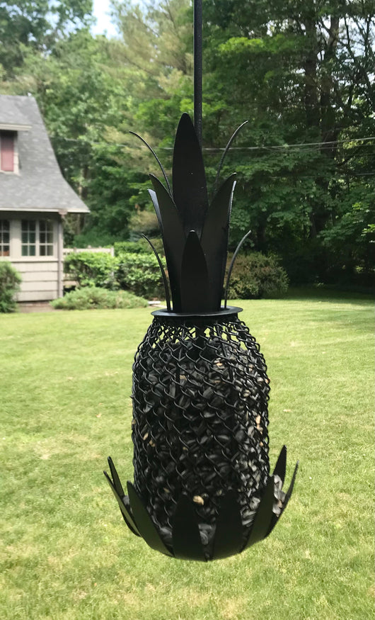 AC-PBF Iron Pineapple Bird Feeder