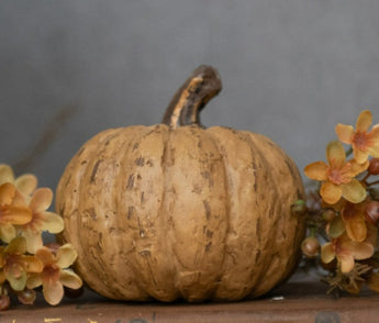 RA-154 Small Short Beige Paper Mache Pumpkin