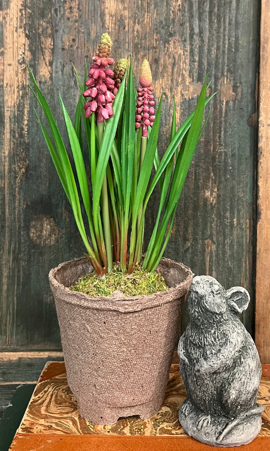 RA-100 Faux Pink Hyacinth in Peat Pot